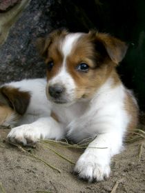 Biggy 1.7 Jule 1 kl.jpg